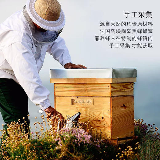 Guerlain娇兰帝皇蜂姿紧致柔润面霜日霜晚霜50ml滋润细腻-会员6折 商品图2