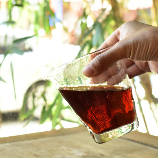 彩农茶｜林栖谷隐熟砖 商品图7