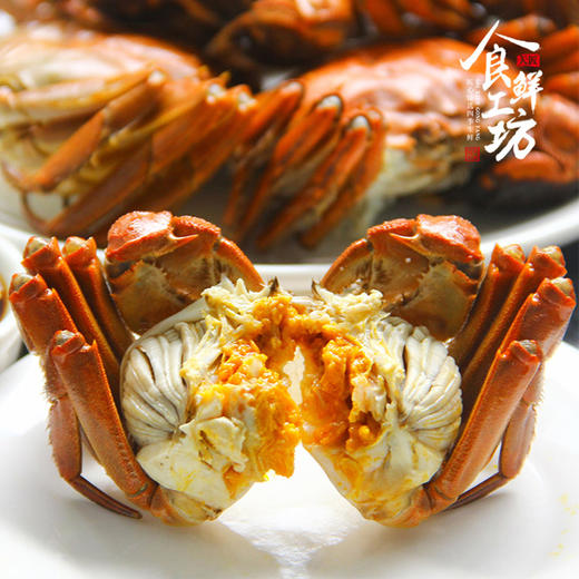 【礼券】阳澄湖七星高照10只装 鲜活大闸蟹 （A/B/C三选一） 商品图8