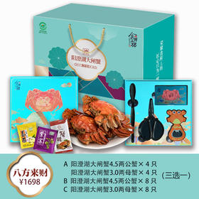 【礼券】阳澄湖八方来财8只装 鲜活大闸蟹（A/B/C三选一）