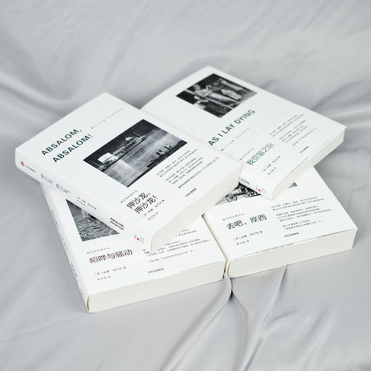 【1949年诺奖得主代表作】《福克纳经典作品》4册，读完这四本，等于读完了福克纳。马尔克斯、余华的文学导师，赠帆布袋 商品图4