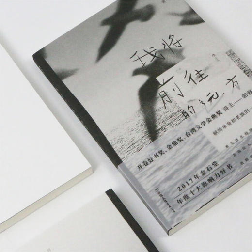 我将前往的远方 郭强生 著 文学 商品图3