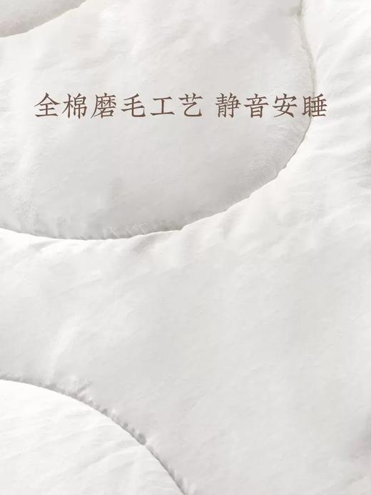 【远梦】MICHELL1870羊毛双人冬被 商品图3