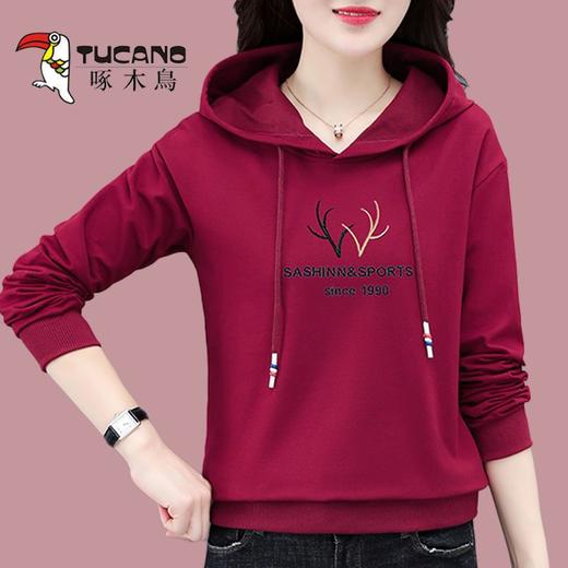 TZW-啄木鸟春秋运动连帽卫衣女 商品图5
