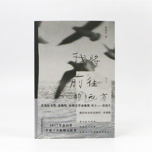 我将前往的远方 郭强生 著 文学 商品图2