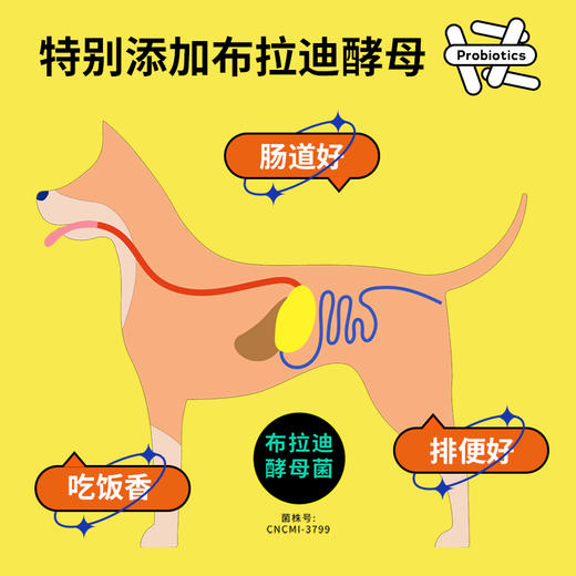 【2件9折】疯狂的小狗 经典系列  博美全期犬粮1.5KG  美毛祛泪痕 商品图2