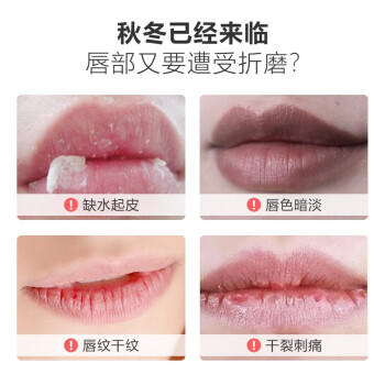 sakose凡士林唇膜13g 夜间睡眠润唇膏淡化唇纹去死皮角质带镜子加唇膜刷 商品图4