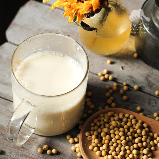 生态黄豆 | 合作生产* Eecological Soybea | Coproduction 商品图2