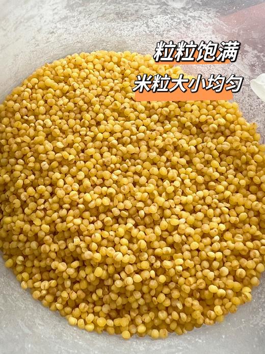 山西武乡羊肥小米——中国好米在山西，山西好米在武乡！羊肥种植 色泽金黄 颗粒饱满 粘稠香浓米油 米汁绵软易嚼 满口生香 商品图4