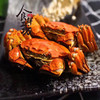 【礼券】阳澄湖八方来财8只装 鲜活大闸蟹（A/B/C三选一） 商品缩略图5