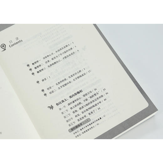 唤醒半睡的自己 父母自我成长心灵使用手册 吴文君 唤醒心中的巨人 心理学 养育孩子家庭教育情绪管理沟通技巧训练 商品图3