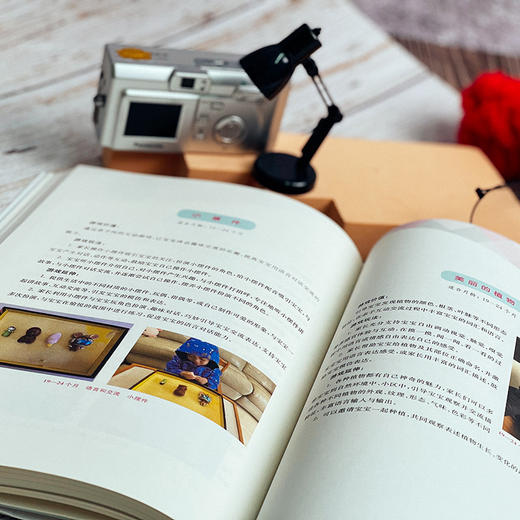 婴幼儿日常教养环境创设与指导 语言交流 感知运动 社会情感 生活体验 认知表现 商品图10