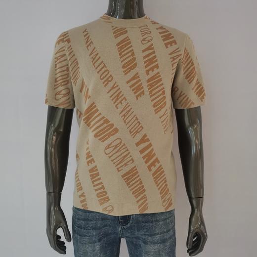 6F V&Y针织短T 商品图0