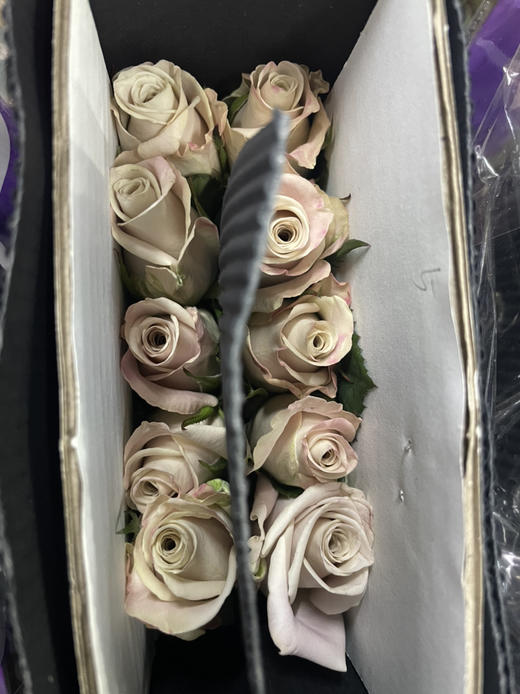 【拍市玫瑰】 曼塔 10枝/扎  约60公分 商品图4