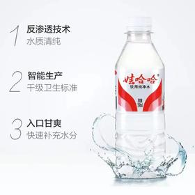 娃哈哈纯净水596ml