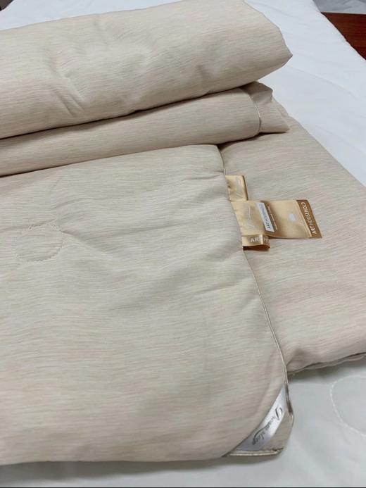 幼儿园丝棉冬被/春秋被/板蓝根枕芯(花型随机） 商品图1