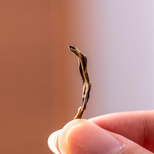 菜头商城有机古树纯料红茶  喜上眉梢 60g（4g/袋×15袋） 商品图8