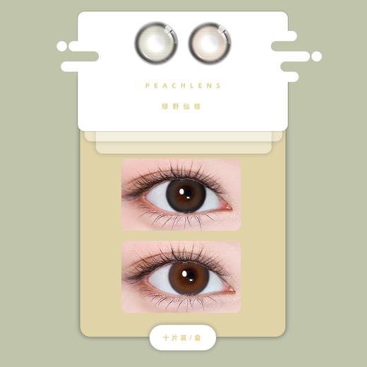 绿野仙踪日抛型 商品图0