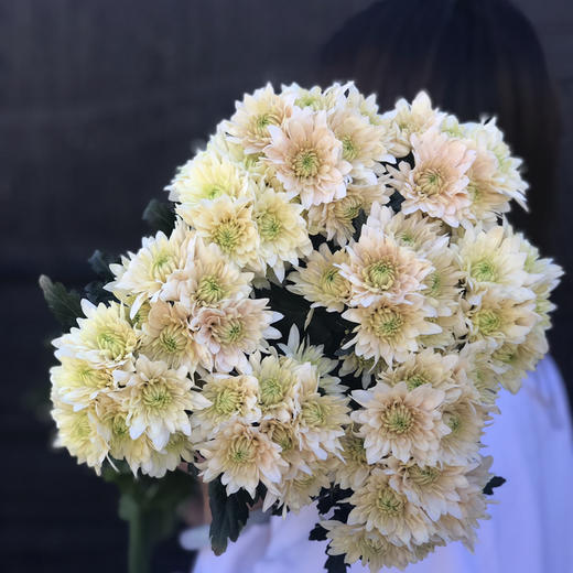 小菊.香草冰沙 商品图1