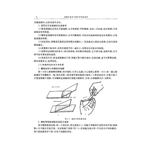 细胞生物学与遗传学实验指导/金龙金/李红智/刘永章/梁万东/浙江大学出版社/(供临床医学医学检验预防医学法医学口腔麻醉影像眼视光中医学护理学康复医学生物技术生物科学等专业用面向21世纪高等医药院校精品 商品图5