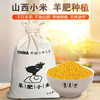 山西武乡羊肥小米——中国好米在山西，山西好米在武乡！羊肥种植 色泽金黄 颗粒饱满 粘稠香浓米油 米汁绵软易嚼 满口生香 商品缩略图0