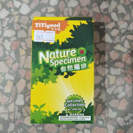 千千谷昆虫  2804006     清白招潮蟹/FK4006 商品图0