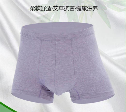 MH竹纤维男士肥佬抑菌平角内裤31242 商品图0