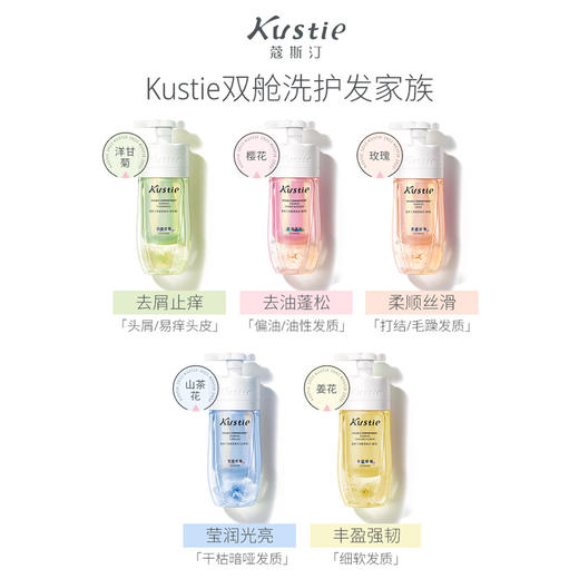 蔻斯汀双仓洗发水（玫瑰） 商品图1