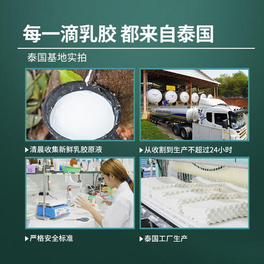 京东京造 高端纯享 泰国乳胶枕礼盒94%乳胶含量 泰国原芯进口天然乳胶枕波浪乳胶枕头 橡胶枕颈椎枕 商品图2