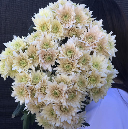 小菊.香草冰沙 商品图2