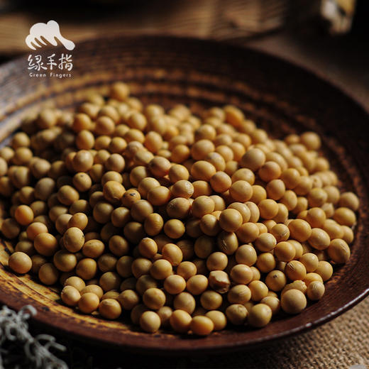 生态黄豆 | 合作生产* Eecological Soybea | Coproduction 商品图3