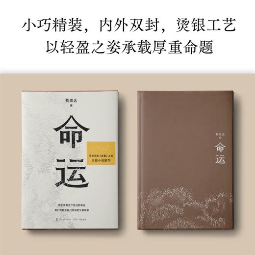 命运 蔡崇达著 皮囊之后睽违8年 皮囊是命运刺破人生的苦痛 命运是皮囊孤勇一搏的选择 在绝望的尽头找到希望 小说 商品图2