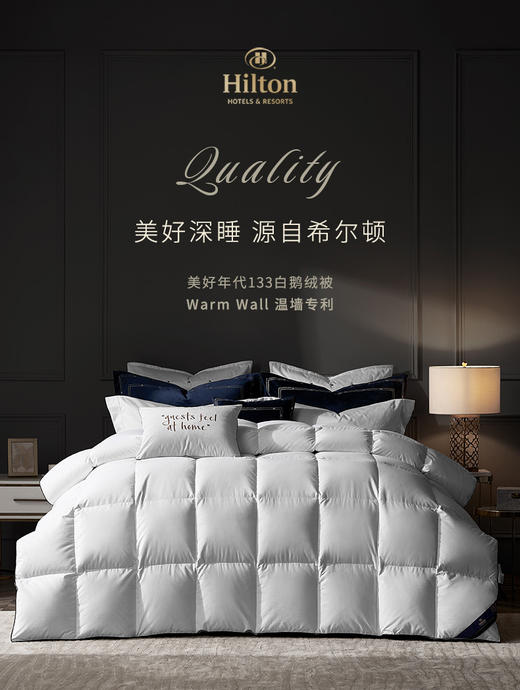 希尔顿鹅绒被官方旗舰店新品95白鹅绒保暖羽绒冬被被芯羽绒被被子 商品图0