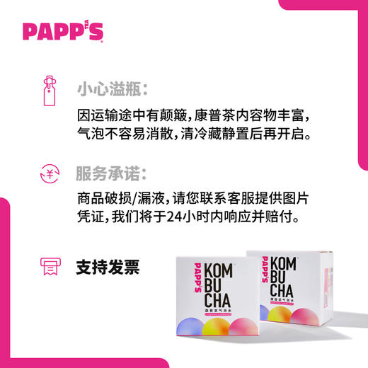 【24瓶装】PAPPS派帕斯Kombucha 益生菌发酵健康无添加气泡水 商品图4