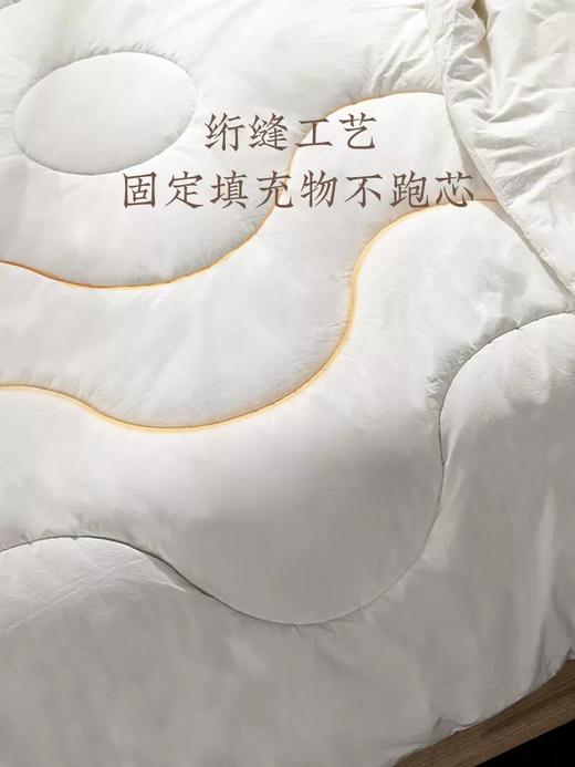 【远梦】MICHELL1870羊毛双人冬被 商品图1