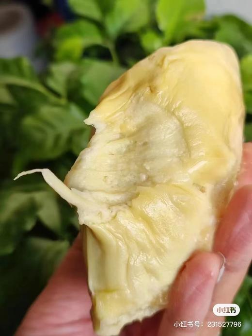 榴泰妃800金枕榴莲肉一袋 商品图3