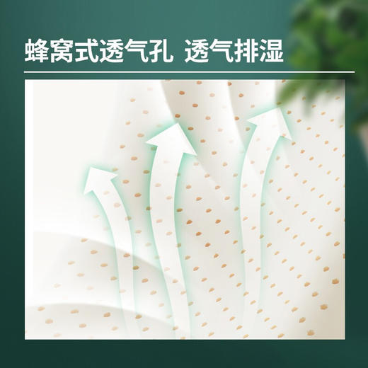 京东京造 高端纯享 泰国乳胶枕礼盒94%乳胶含量 泰国原芯进口天然乳胶枕波浪乳胶枕头 橡胶枕颈椎枕 商品图7