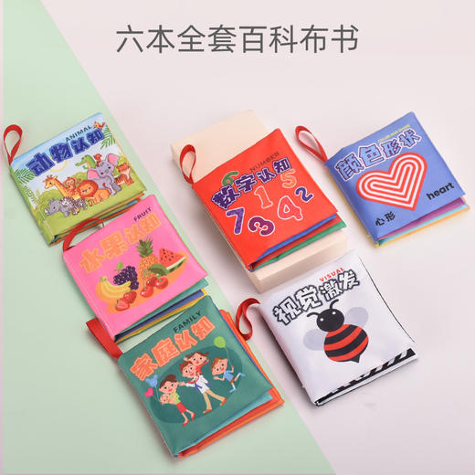 【6件套】布书婴儿早教尾巴立体书宝宝玩具组合装 商品图4