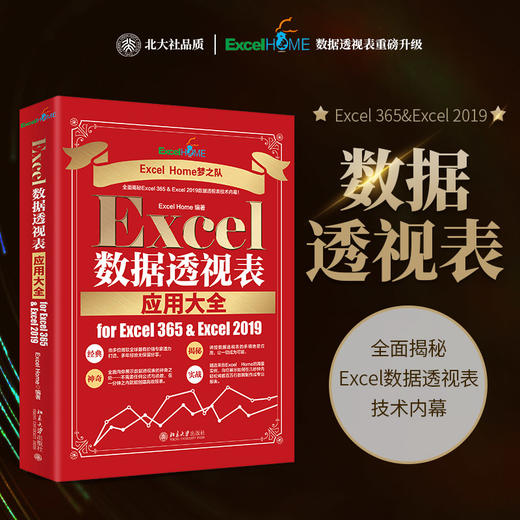 Excel数据透视表应用大全 for Excel 365 & Excel 2019 Excel Home 北京大学出版社 商品图1