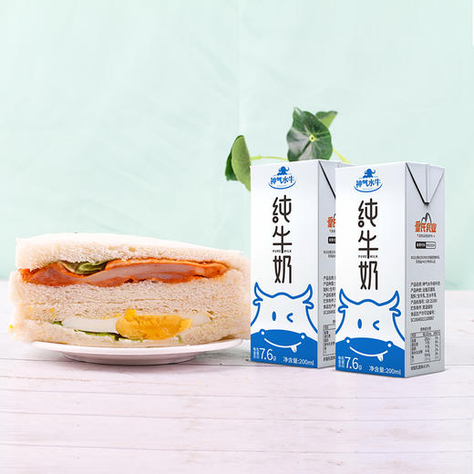 皇氏乳业神气水牛纯牛奶  纯正广西奶水牛  冷冻更好喝 商品图1