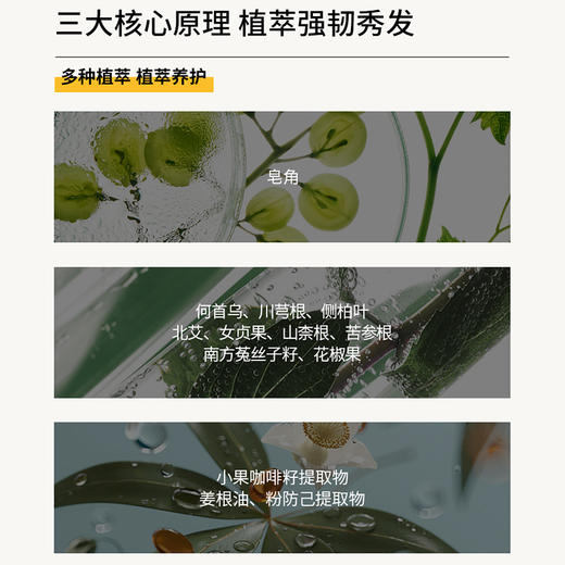 去屑止痒  控油蓬松   摇滚动物园洗发水 商品图1