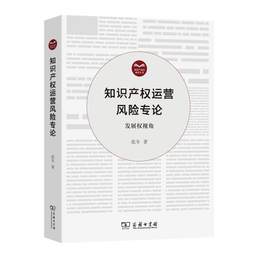 知识产权运营风险专论——发展权视角 商品图0