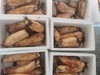 【严选】荆州莲藕粉藕5斤装（厂家直发） 商品缩略图4