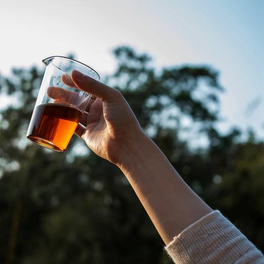 武夷名丛 正岩山场 纯料不拼 个性鲜明 2021武夷岩茶 藏茶密室出品 商品图4