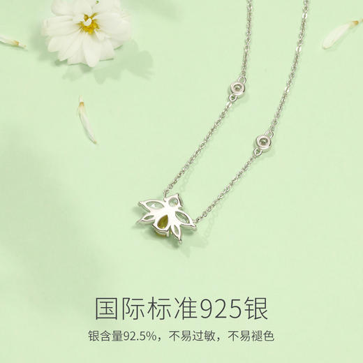 【蜂之舞】【蜂之语】合集 商品图2