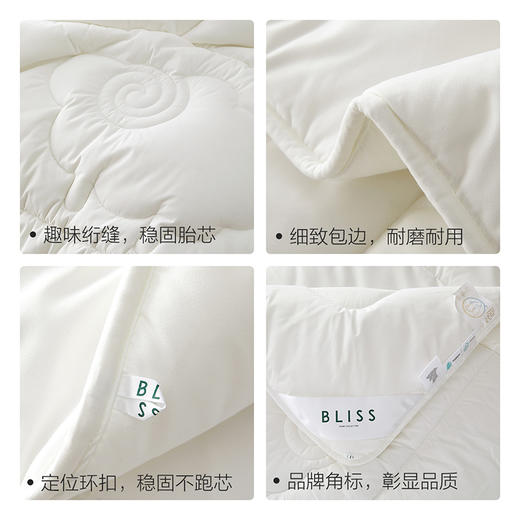 水星集团出品 百丽丝BLISS 澳洲进口羊毛 春秋被 冬被 商品图4