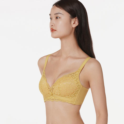 都市丽人聚拢升杯聚拢杯B杯常规内衣蕾丝中厚3/4杯文胸三排扣无钢圈LB25K2 商品图1