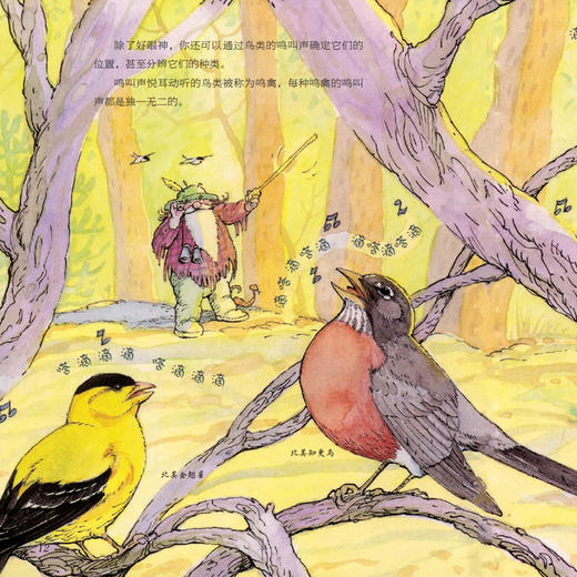 《森林爷爷自然课》(全12册) 商品图2