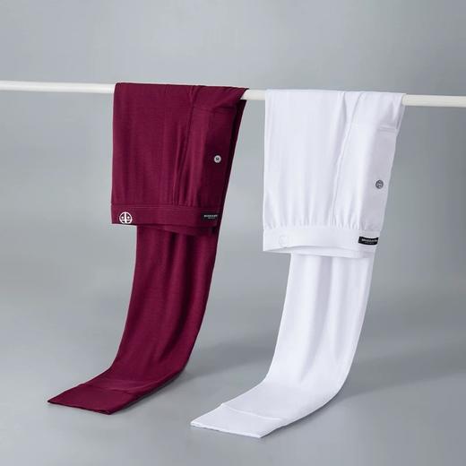 【超细舒特薄】（断码清仓，不退换)SHIESSER德国舒雅秋裤男 高端铂雅男士保暖裤超细莫代尔舒特薄款95/12183Y 商品图2