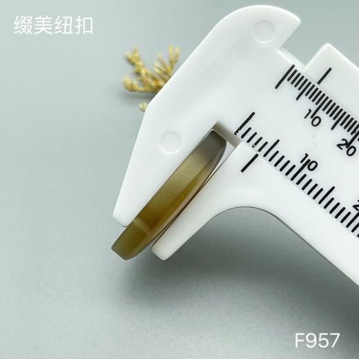 F957(整包购买) 商品图7